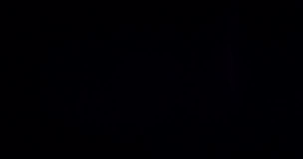 Погрузитесь Художественную Атмосферу Украшенную Богатым Зерном Тонкими Частицами Пыли Ностальгической — стоковое видео