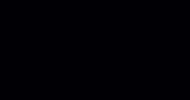 Сияющая Красота Потрясающим Эффектом Бликов Оптических Линз Анимации Наблюдайте Вспышки — стоковое видео