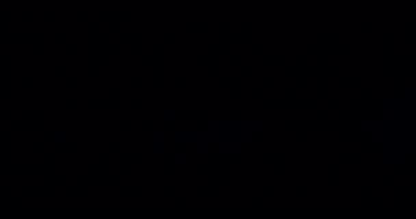 Калейдоскоп Нашою Призма Веселка Світло Спалахує Накладання Тлі Темного Фону — стокове відео