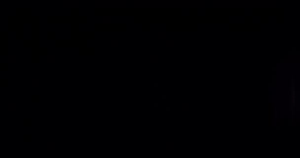 Освітлена Краса Нашою Призма Веселка Світло Спалахує Накладання Тлі Чорного — стокове відео