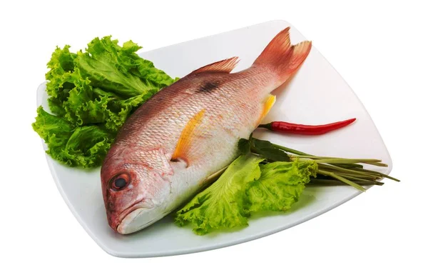 Raw red snapper with salad leaves