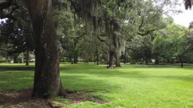 Savanah Georgia 'da güzel bir parkta yürüyorum. Yüksek kalite 4k görüntü