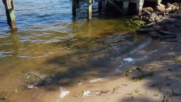 Very Calm Water Small Splashing Rocks Sand Ocean High Quality — Stockvideo