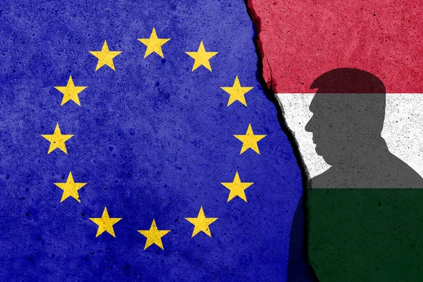 Прапори Європи Угорщини Намальовані Бетонній Стіні Ліцензійні Стокові Фото
