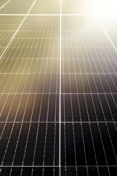 Сонячні Панелі Фотоелектрична Електростанція Альтернативні Джерела Електрики Зелена Чиста Енергія Стокове Зображення