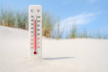 Sıcak yaz günü. Kumda Celsius ve Fahrenheit termometresi. Çevre sıcaklığı artı 43 derece. 