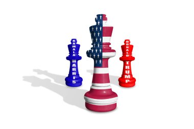 Satranç Demokratlar ve Cumhuriyetçilerin renklerinden ve Amerikan bayrağından yapıldı