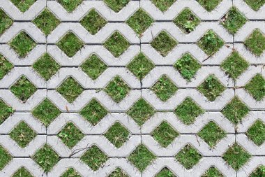 Çimenli çevre dostu park manzarası