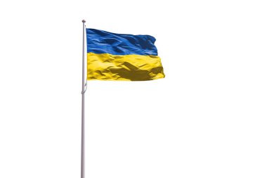 Flag of Ukraine isolated on a white background clipart