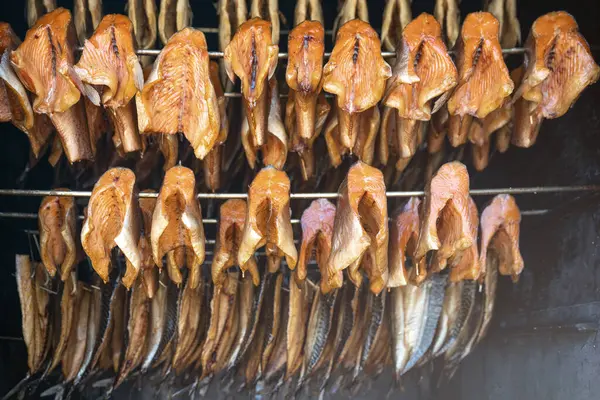 Tütsühanede balık tüttürmek. Tütsülenmiş alabalık ve somon balığı.