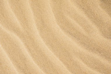 Kum tepelerine bak. Kumun dokusu