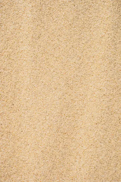 View on the sand dunes. The texture of sand