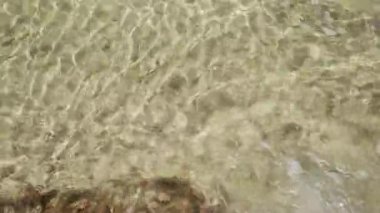 Baltık kıyıları sıcak yaz gününde