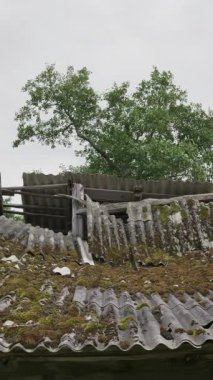 Eski ve çok tehlikeli asbest çatı. Çevrede asbest tozu var. Asbest temizleme