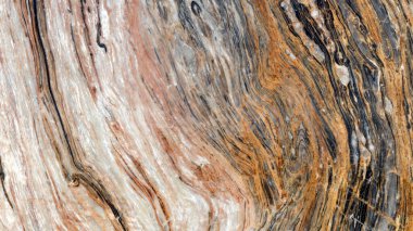 Doğal ahşap dokusunun soyut arkaplanı