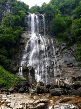 Ormanda şelale. Türkiye 'de Mencuna şelalesi