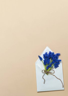 Beyaz bir zarfın içinde bir buket mavi geoçin. Kart. Tatil için tebrikler. Güzel natürmort. Sevgililer Günü. Dikkat çekme işareti. Canlı bir hediye. Baharın kokusu. Dilekler.