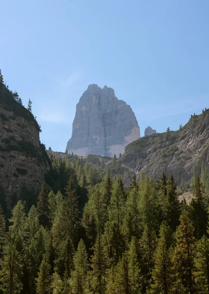 Horské Vrcholky Kameny Divoká Zvěř Itálie Dolomity Alpy Velikost — Stock fotografie