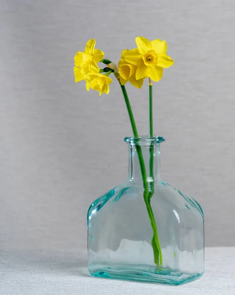 Trei Narcise Galbene Într Vază Acoperită Sticlă Fundal Alb Carte — Fotografie, imagine de stoc