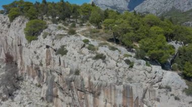 Dağlar ve ormanlar arasında güzel bir sahil. Hırvatistan. Makarska Riviera. Temiz mavi su ve çam aromalı Adriyatik Denizi gölü. İnsansız hava aracı videosu. Tatilde. Bir sürü insan. Nugal Plajı