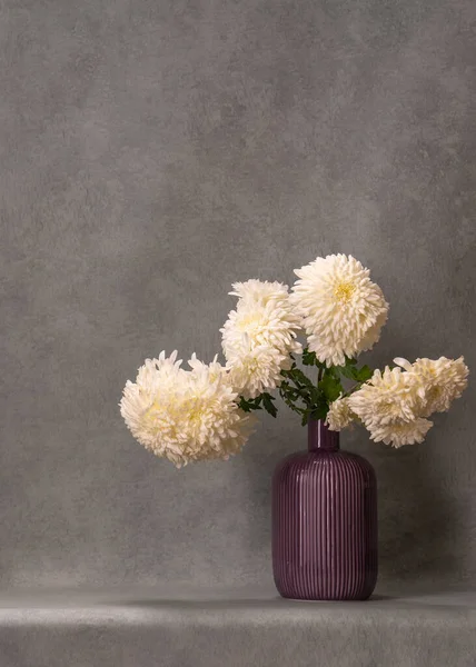 Ramo Flores Blancas Asters Jarrón Púrpura Sobre Fondo Gris Belleza — Foto de Stock