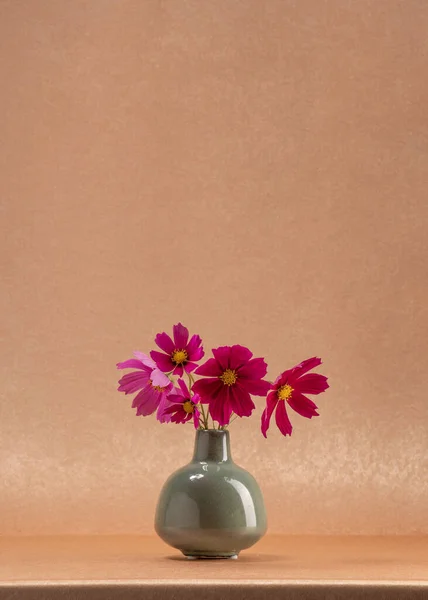 Cinco Pequeñas Flores Veraniegas Color Rosa Oscuro Pequeño Jarrón Sobre — Foto de Stock