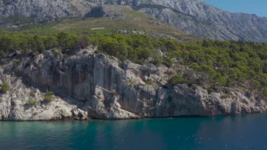 Mavi Adriyatik Denizi. Yüksek dağlar. Çok güzel bir sahil. Mavi gökyüzü. Adam tahtanın üzerinde yüzüyor. Yaz, güneşli manzara. Doğanın güzelliği. Yeşil Orman. Hırvatistan. Drone videosu