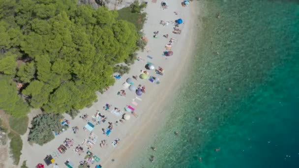 Fkk Strand Der Adria Azurblaues Meer Felsige Küste Dichter Grüner — Stockvideo