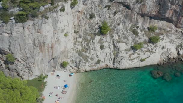 Plaża Nudystów Adriatyku Błękitne Morze Skaliste Wybrzeże Gęsty Zielony Las — Wideo stockowe