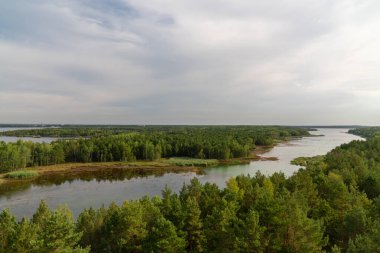 Lezzetli yeşil ağaçlarla çevrili bir nehir manzarası. Dawn.