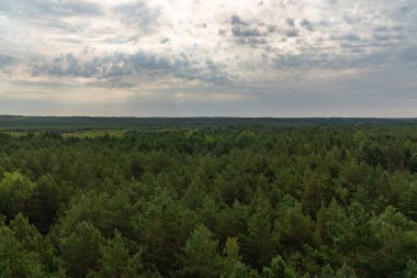 Doğanın güzel manzarası. Nehirleri ve gölleri saran Sentenfberg. Almanya.