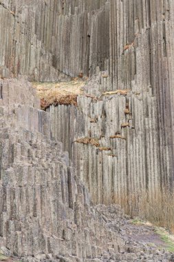 Uzun ve gri bazalt sütunlar. Çek Cumhuriyeti, Kamenice Senov 'da bazalt rock Panska Skala