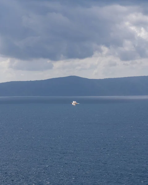 Een Witte Meeuw Vliegt Blauwe Zee Majestueuze Bergen Aan Horizon — Stockfoto
