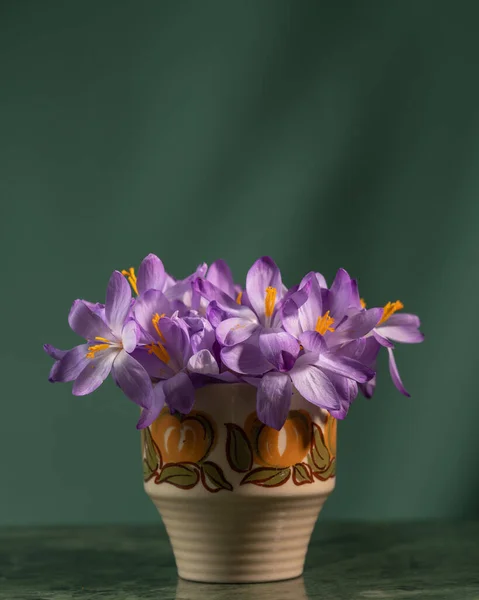 Diseño Creativo Con Flores Cocodrilo Primavera Jarrón Sobre Fondo Oscuro — Foto de Stock