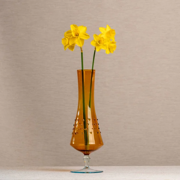 Ramo Flores Amarillas Primavera Narcisos Vaso Color Marrón Claro Transparente — Foto de Stock