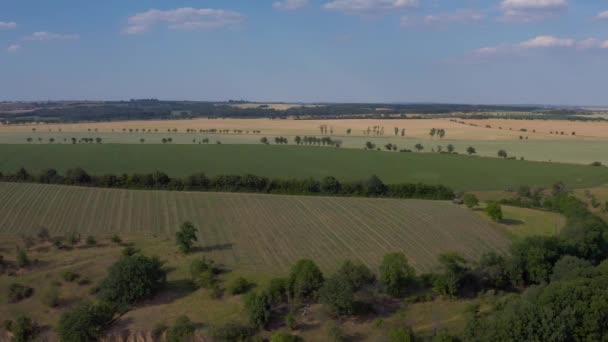 Drohnen Aus Der Luft Meißen Die Sich Windende Elbe Vorbei — Stockvideo