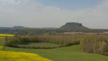 Sarı kolza tohumu tarlaları açan bir arazinin hava aracı görüntüsü, Almanya 'daki Sakson İsviçre ulusal parkı. Lilienstein Dağı. Orta Avrupa 'nın havadan görünüşü