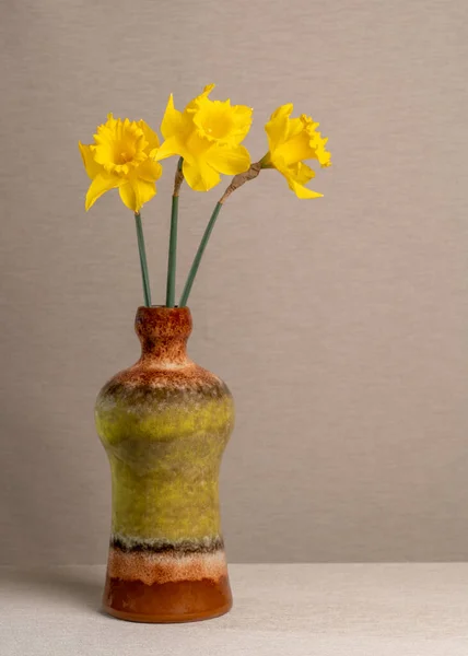 Strauß Gelber Frühlingsblumen Drei Narzissen Einem Glas Hellbraun Transparentes Vasenglas — Stockfoto