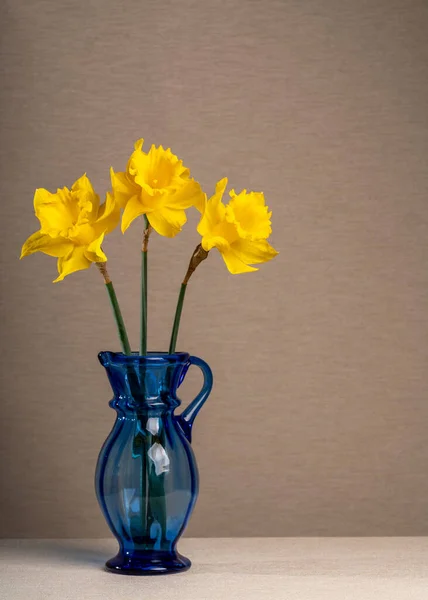 Tres Narcisos Amarillos Jarrón Azul Transparente Sobre Fondo Gris Claro — Foto de Stock