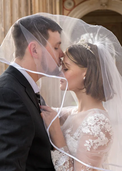 Bröllopsporträtt Bruden Och Brudgummen Lycklig Brud Och Brudgum Kyssa Försiktigt — Stockfoto