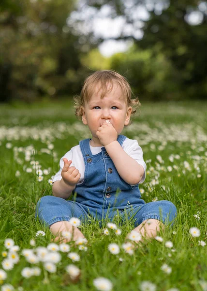 happy, one-year-old baby with blond wavy hair, sits on green grass among many daisies, looks at the camera, holds a flower in his hand. The focus is on the child, the background is blurred.