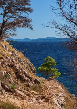 Deniz kenarındaki güzel kayalık bir sahil şeridinde çıkan yangından sonra. Hırvatistan. Adriyatik Denizi