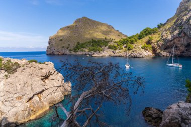 Mallorca Panoraması, Sa Colabra, Mallorca Akdeniz, Balearic Adaları 'nda lüks yatları olan güzel bir deniz koy..
