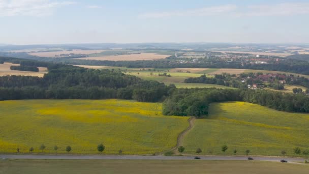 Vista Aérea Prados Com Girassóis Amarelos Saxon Switzerland National Park — Vídeo de Stock