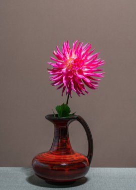 Kahverengi arka planda koyu vazoda pembe bir yıldız çiçeği. Mesaj için yer. Çiçeklerle dolu bir hayat 