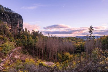 Sabah atmosferi, Sakson İsviçre 'de uzun gölgeler, ulusal park, Almanya 