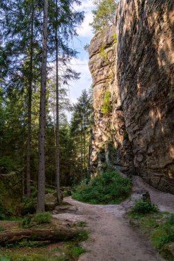 Dresden, Saksonya, Almanya yakınlarındaki Sakson İsviçre Ulusal Parkı 'nda yürüyüş yapan büyülü bir peri masalı ormanıyla kaplı.