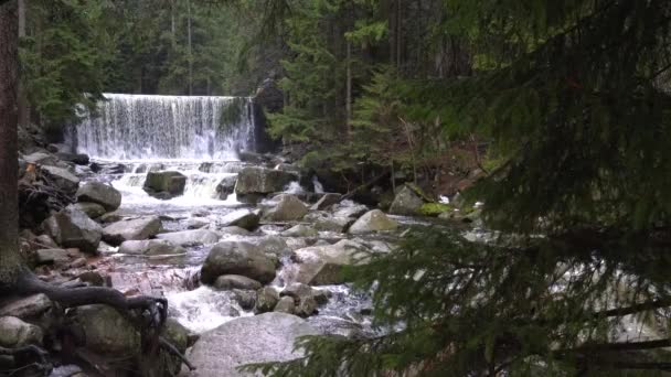 Bir Dağ Nehrinde Şelale Doğa Nehir Şelale Orman Kış Günü — Stok video