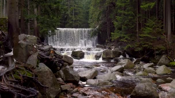 Wodospad Górskiej Rzece Natura Rzeka Wodospad Las Zimowy Dzień Słynny — Wideo stockowe