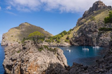 Port de Soller 'deki sahil şeridinin güzel manzarası, sakin bir limanda üç yatı var. Mallorca adasında, İspanya, Akdeniz